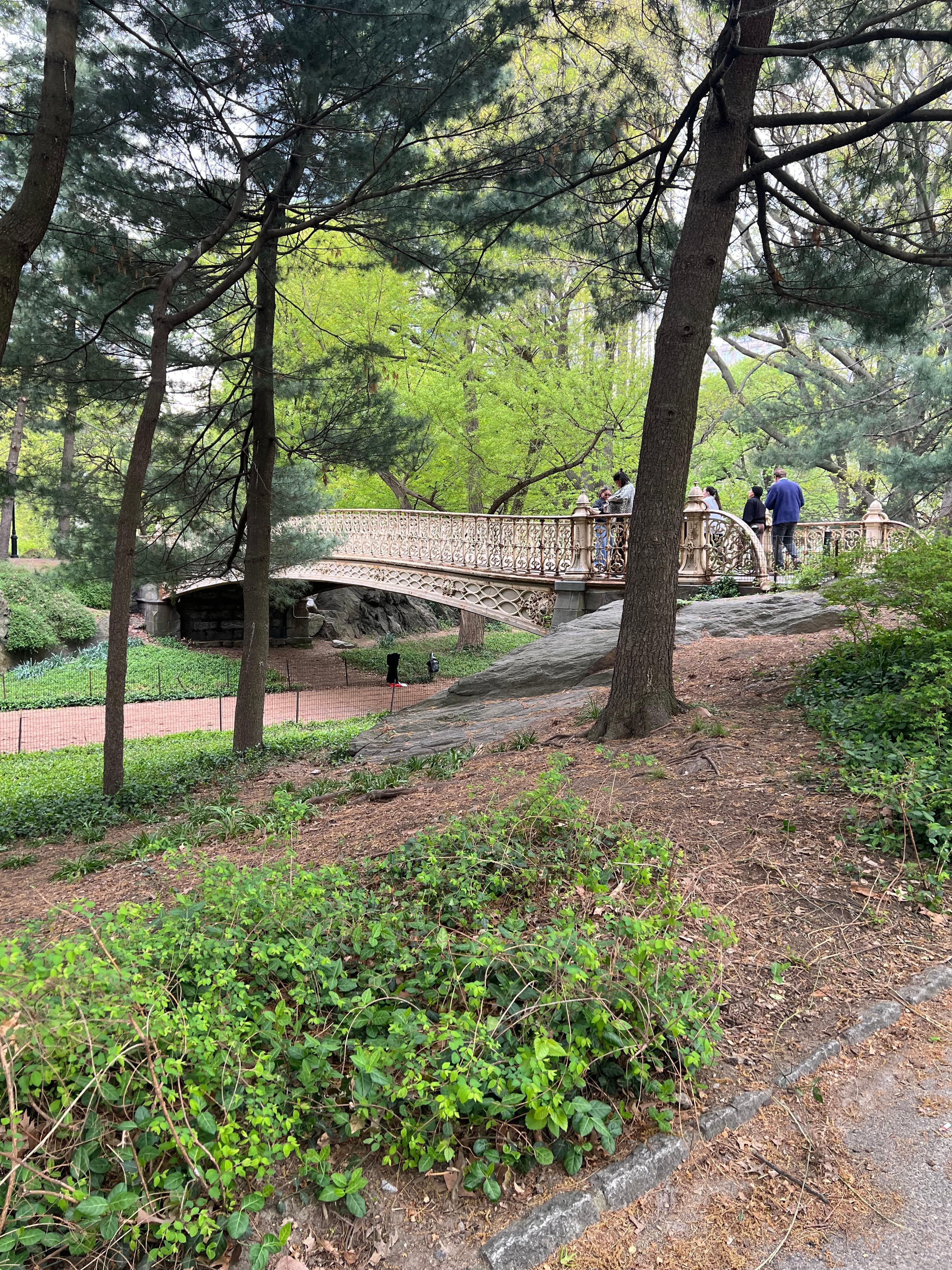 Pine Bridge Cetral Park