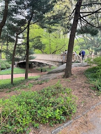 Pine Bridge Cetral Park