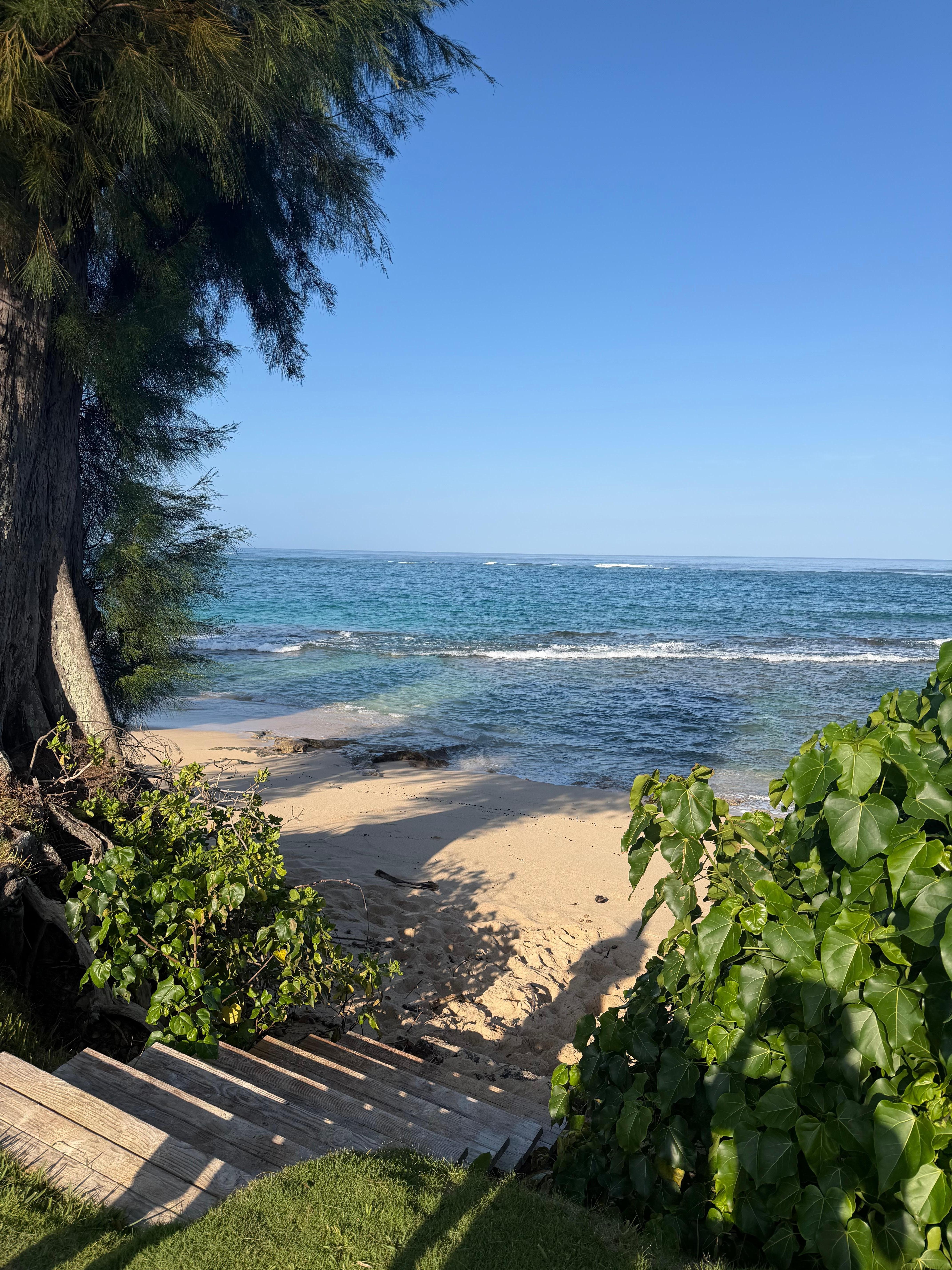 Private steps from house down to the beach 