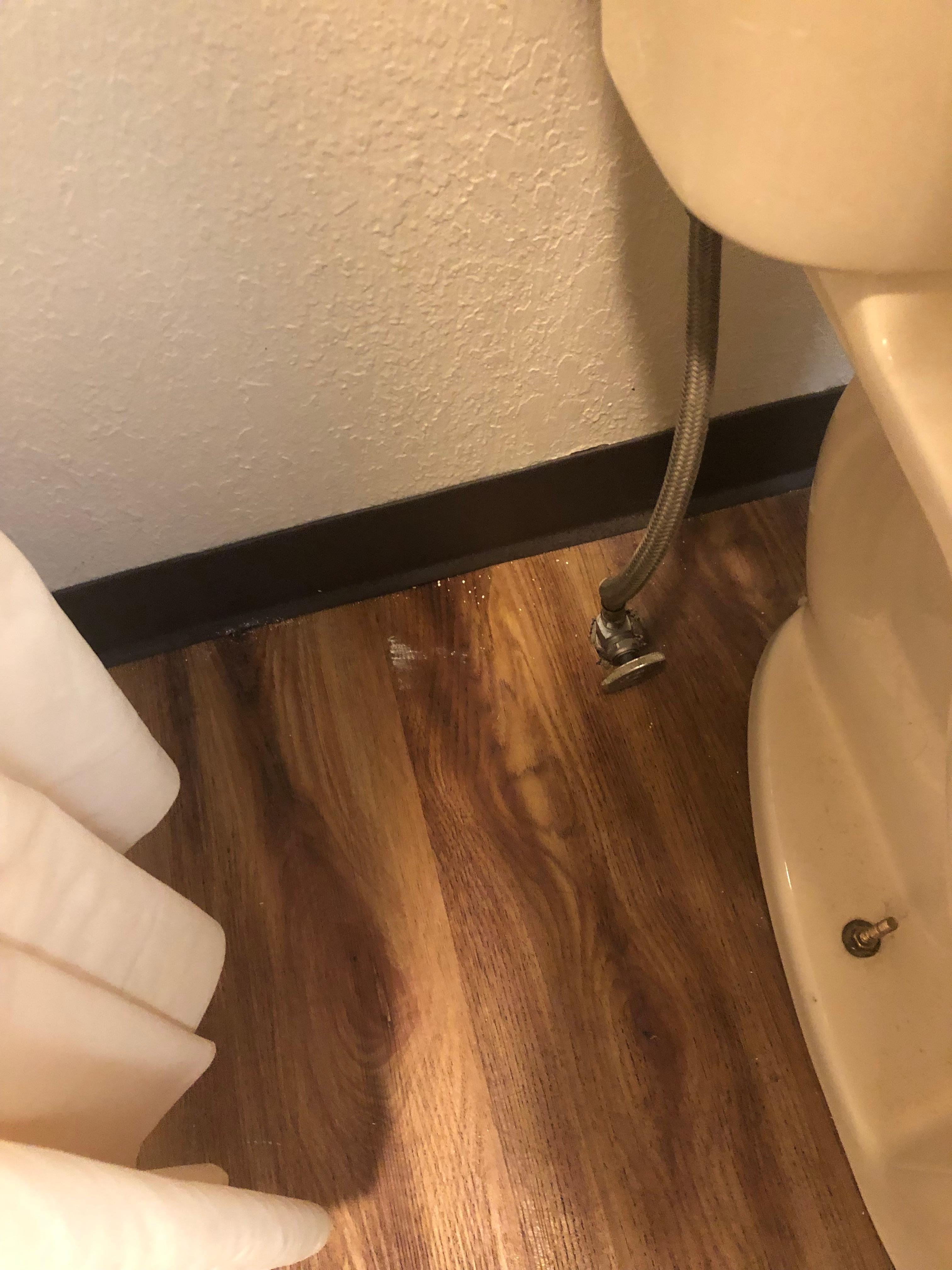 Dirty floor behind toilet 