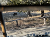 Easily startled by opening the door