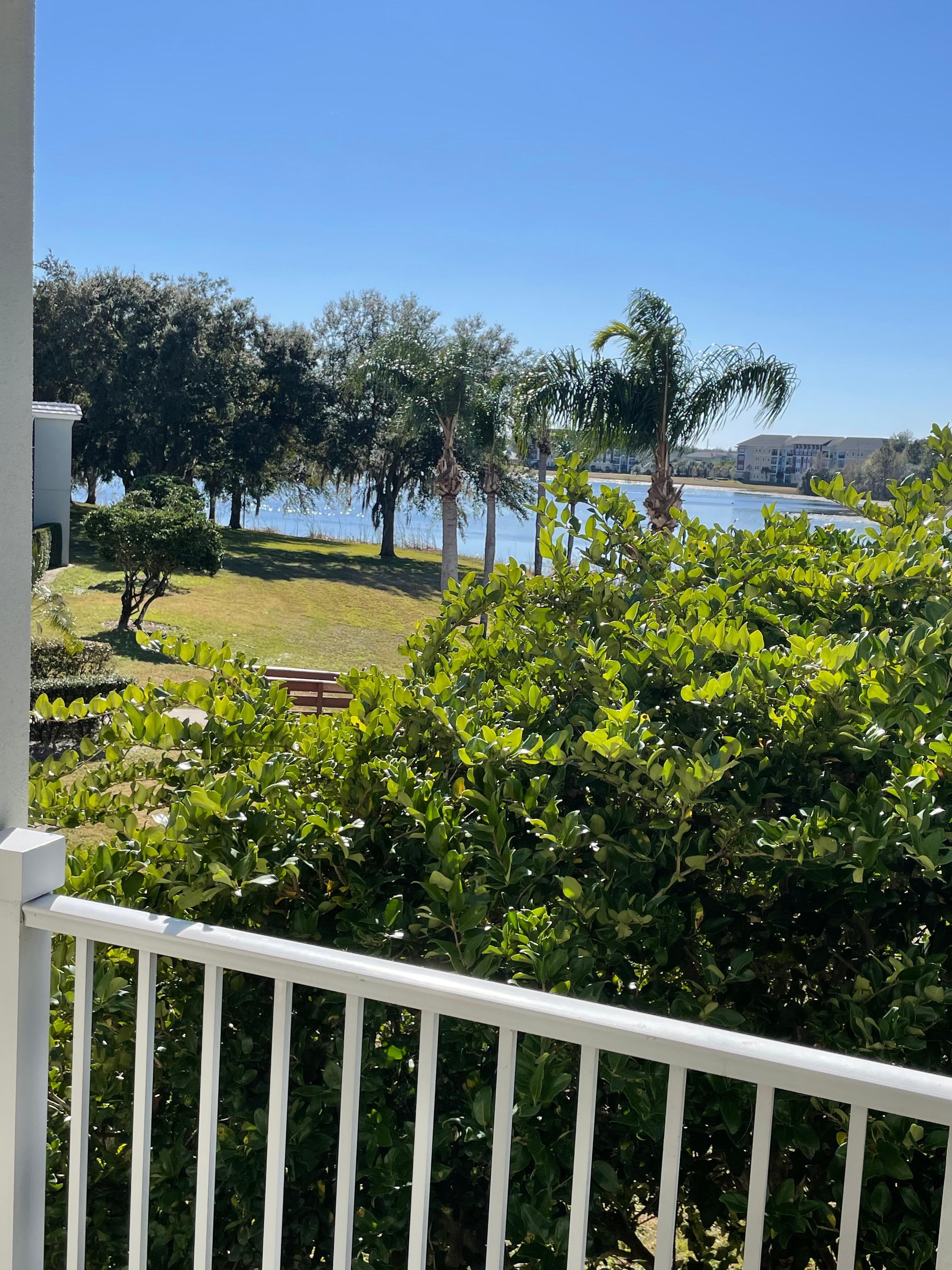 Looking out from the balcony in the room