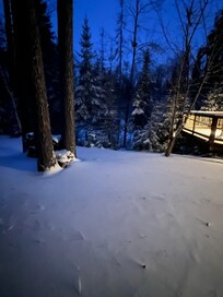 Looking out the bedroom French doors