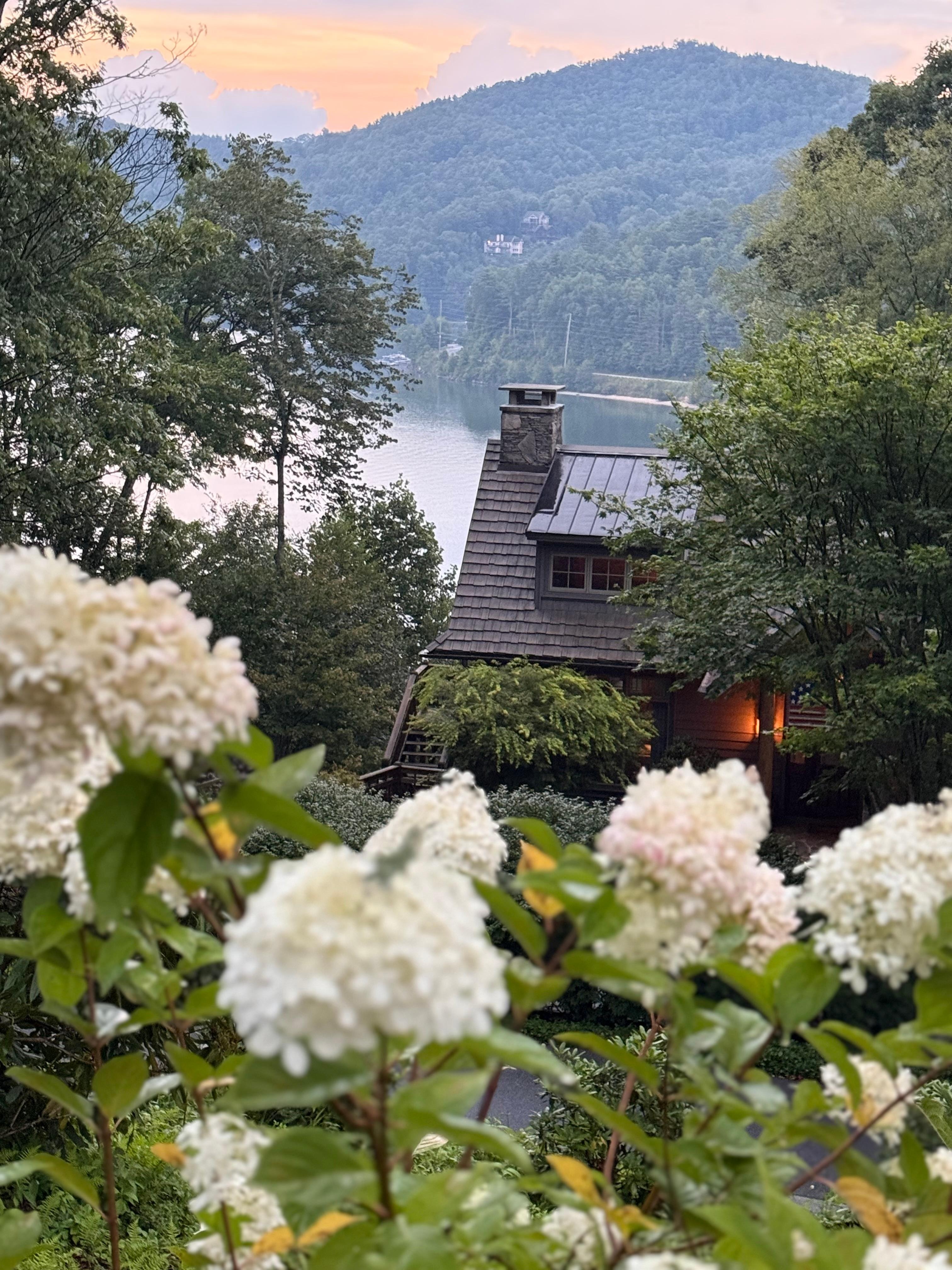 View looking down in the house.
