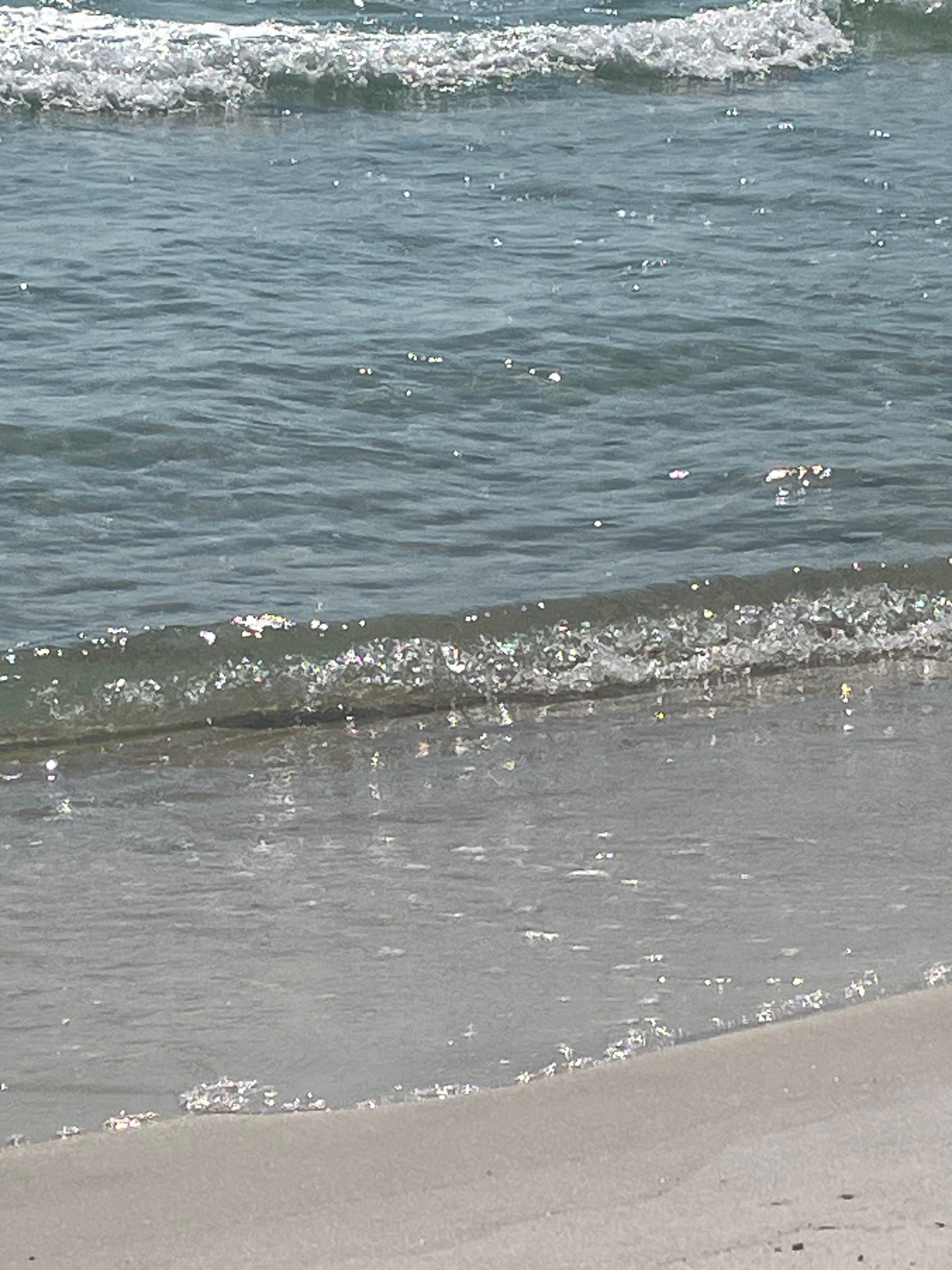 On the beach in front of the condo. 