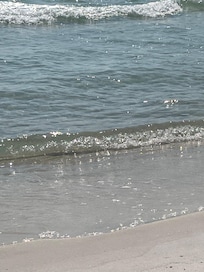 On the beach in front of the condo.