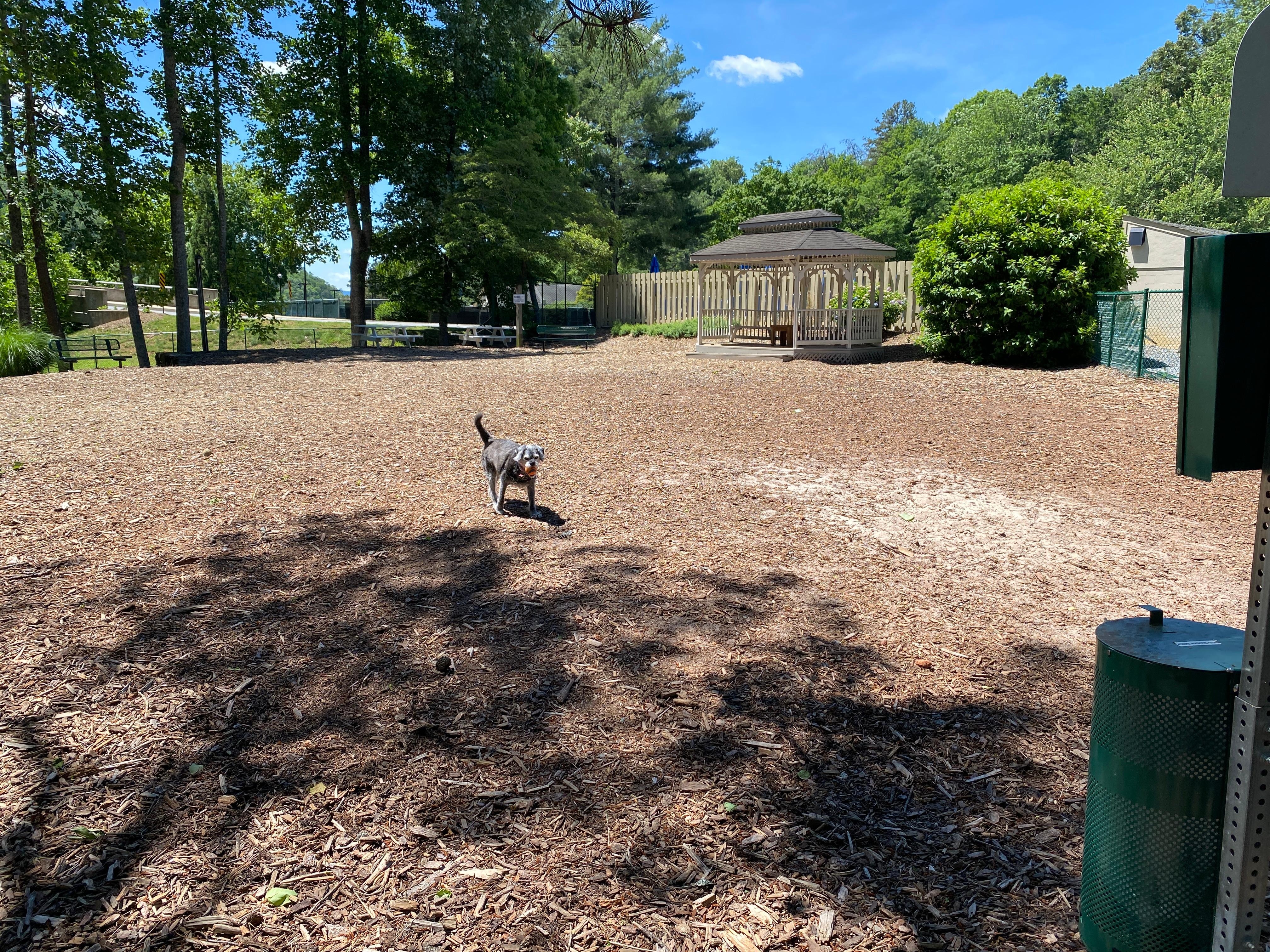 Dog park at Rumbling Bald