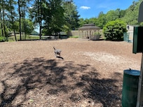 Dog park at Rumbling Bald