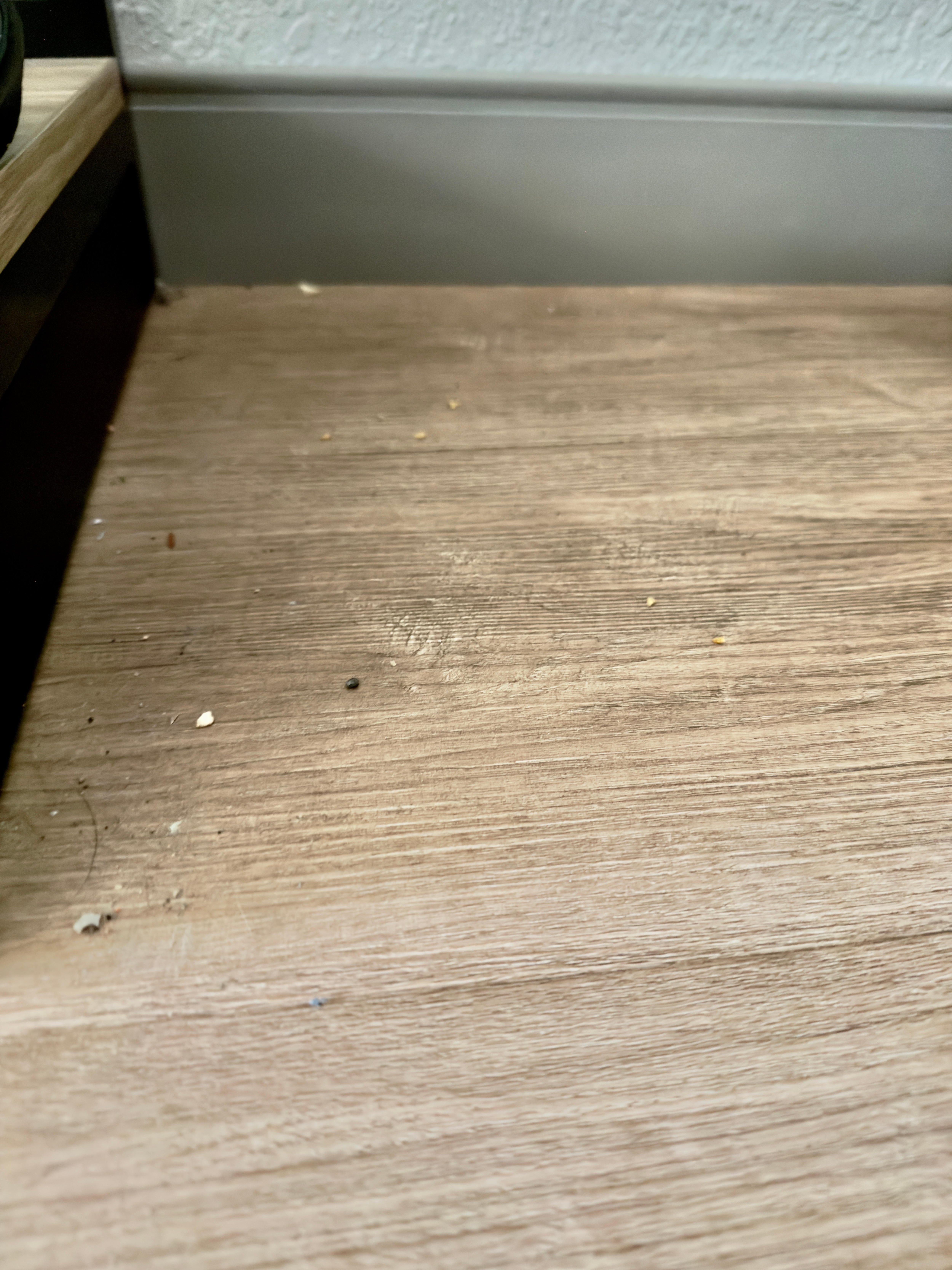 Dust and debris next to bench under TV (I already picked up the keycard, sugar packet, and pack/reminder list found right here, as well as the pill on the bathroom floor). 