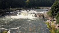 The Falls
