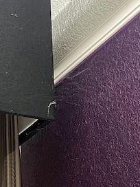 Cobwebs at their finest.