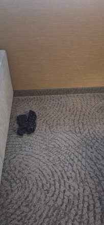 Old socks, left behind; floor not vacuumed.