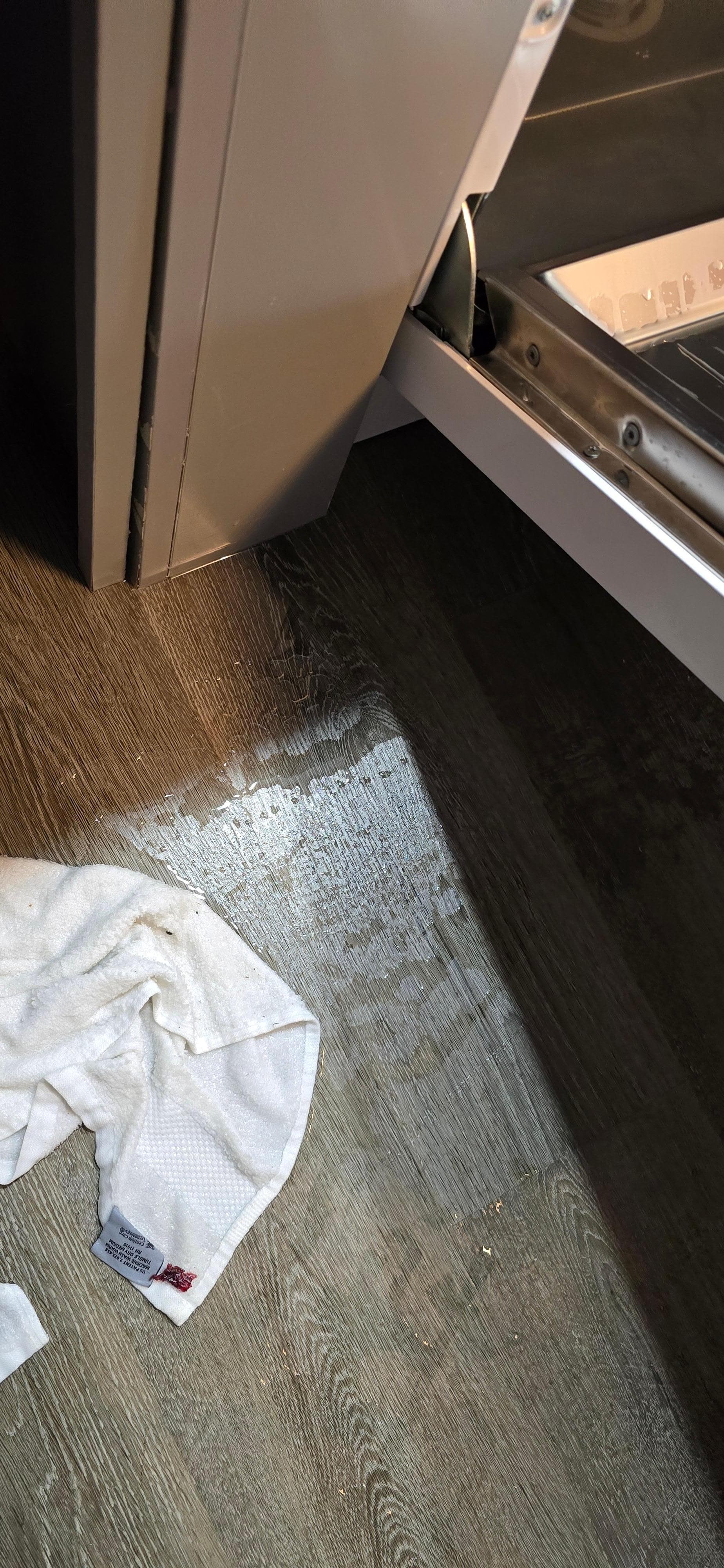 The leaky dishwasher 