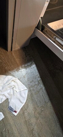 The leaky dishwasher