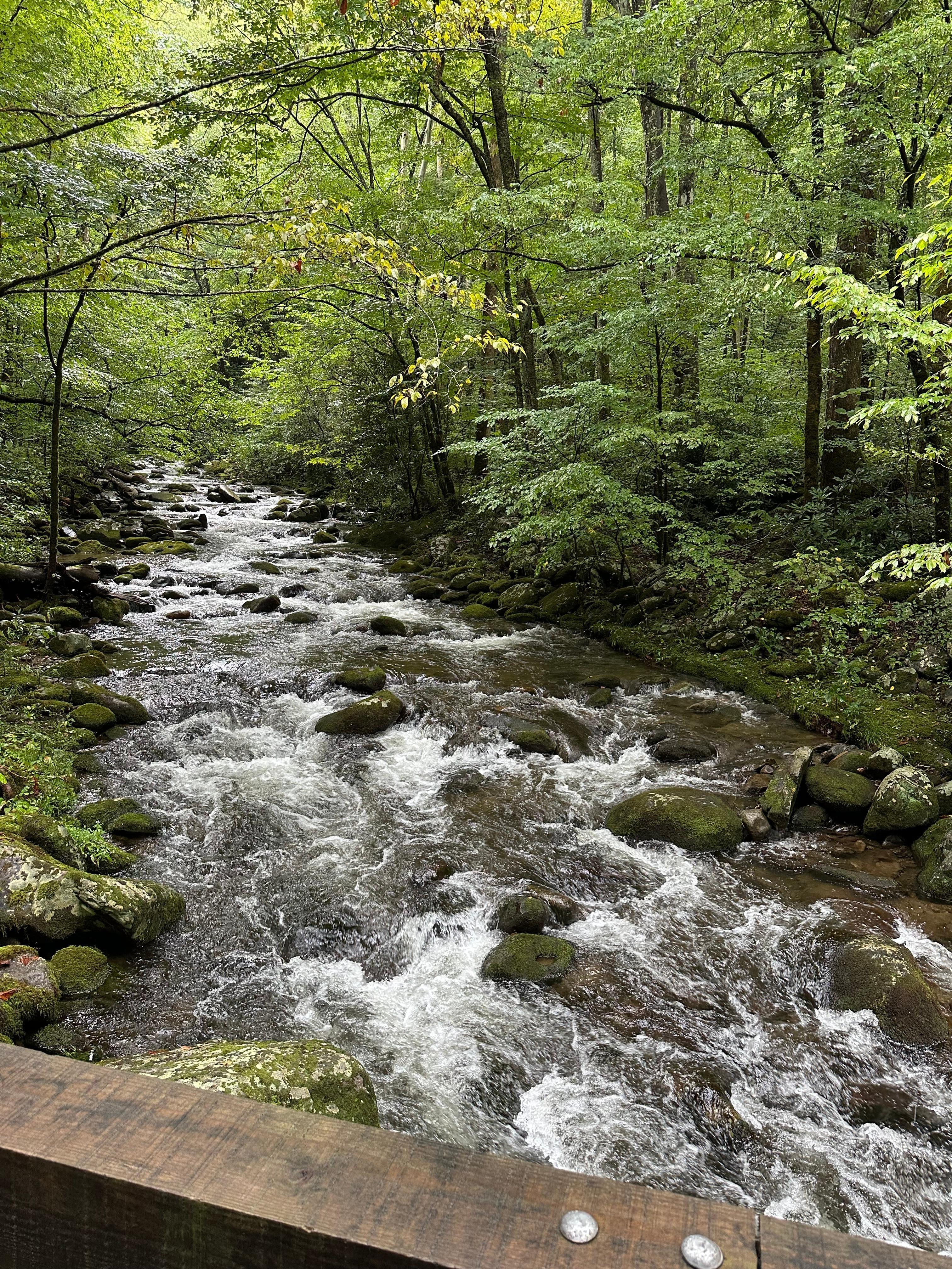 Short drive to the Great Smoky Mountains National Park