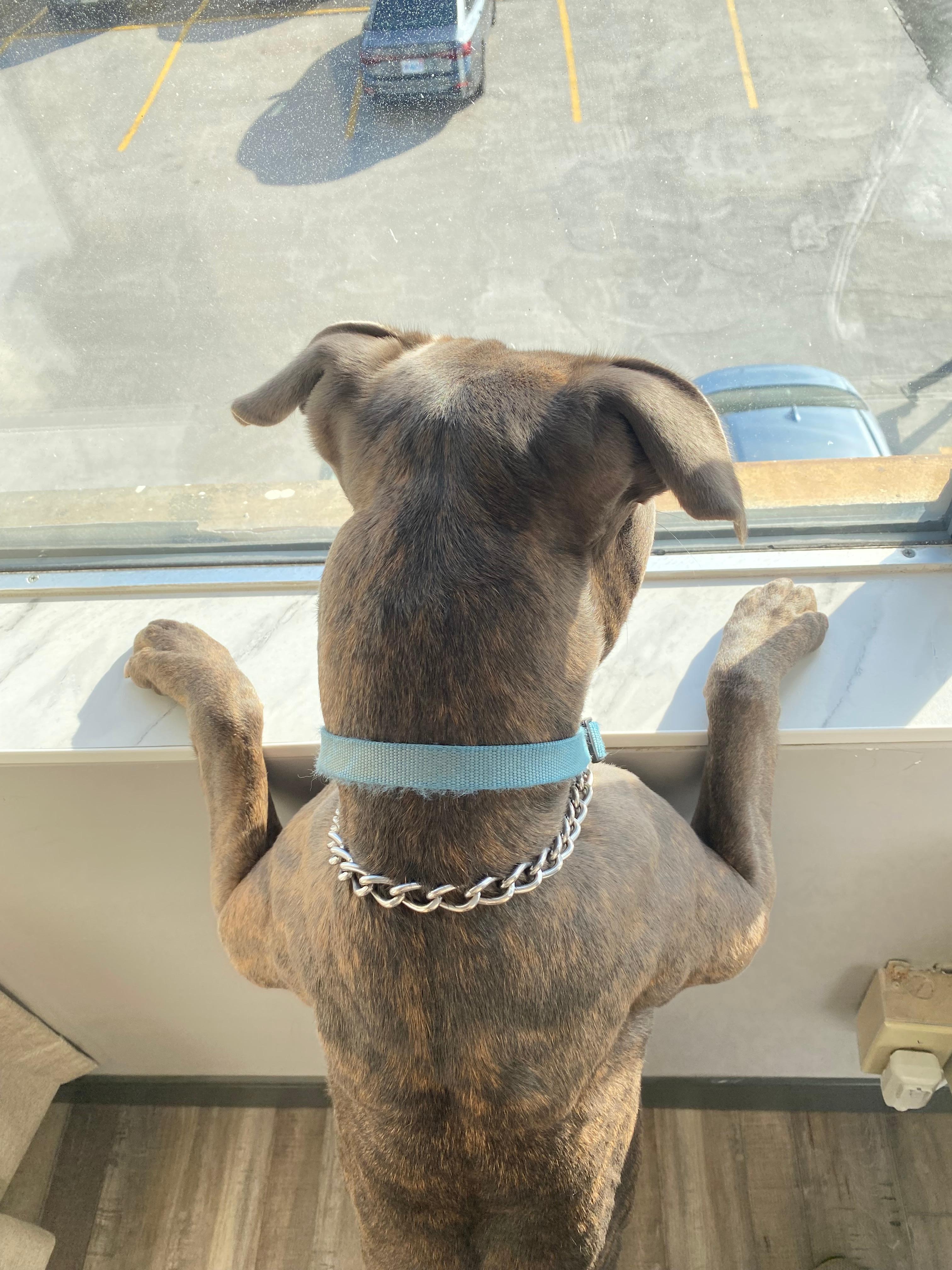 Looking for his brothers💙