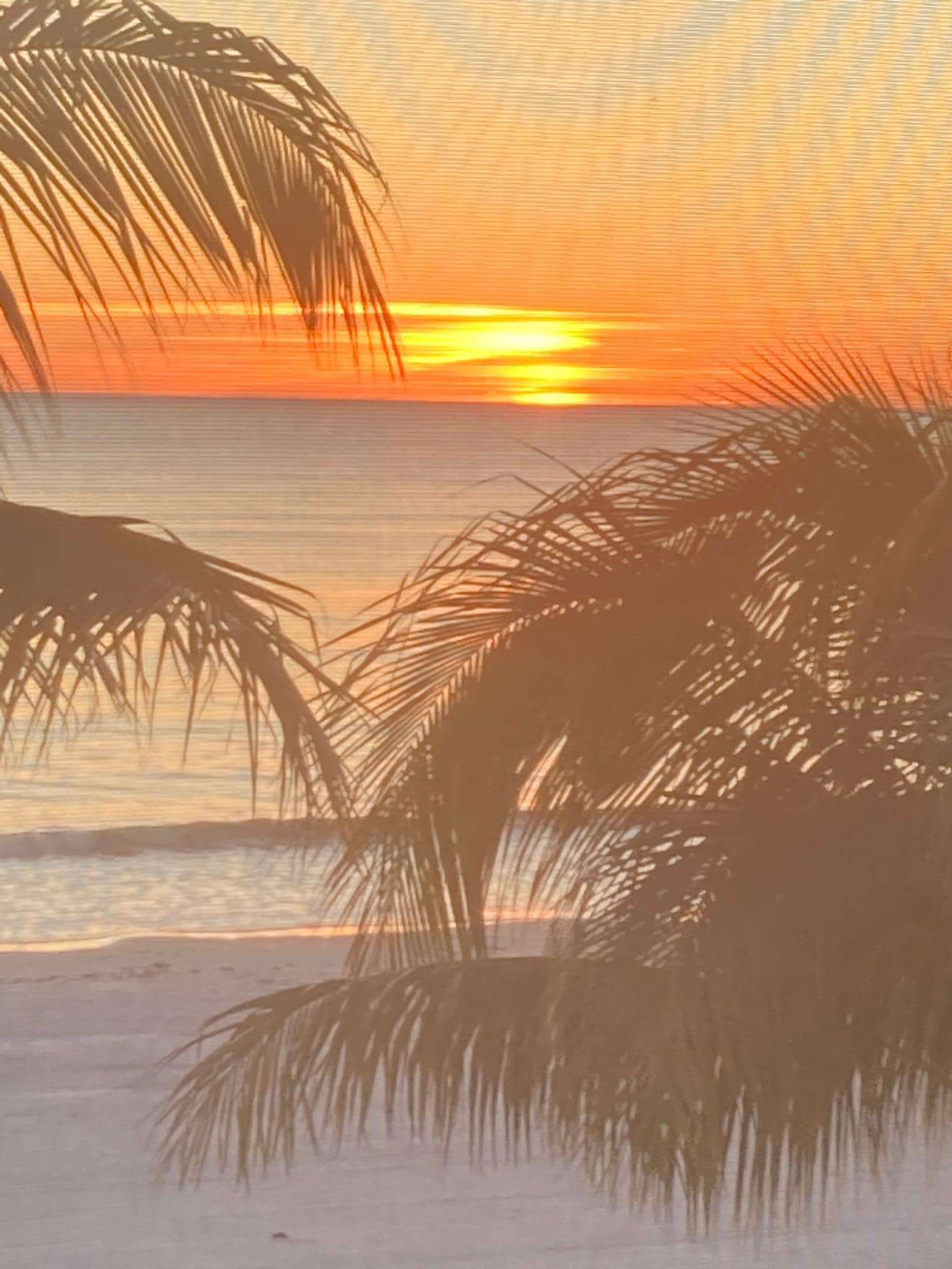 Ever night is the sundown show! 