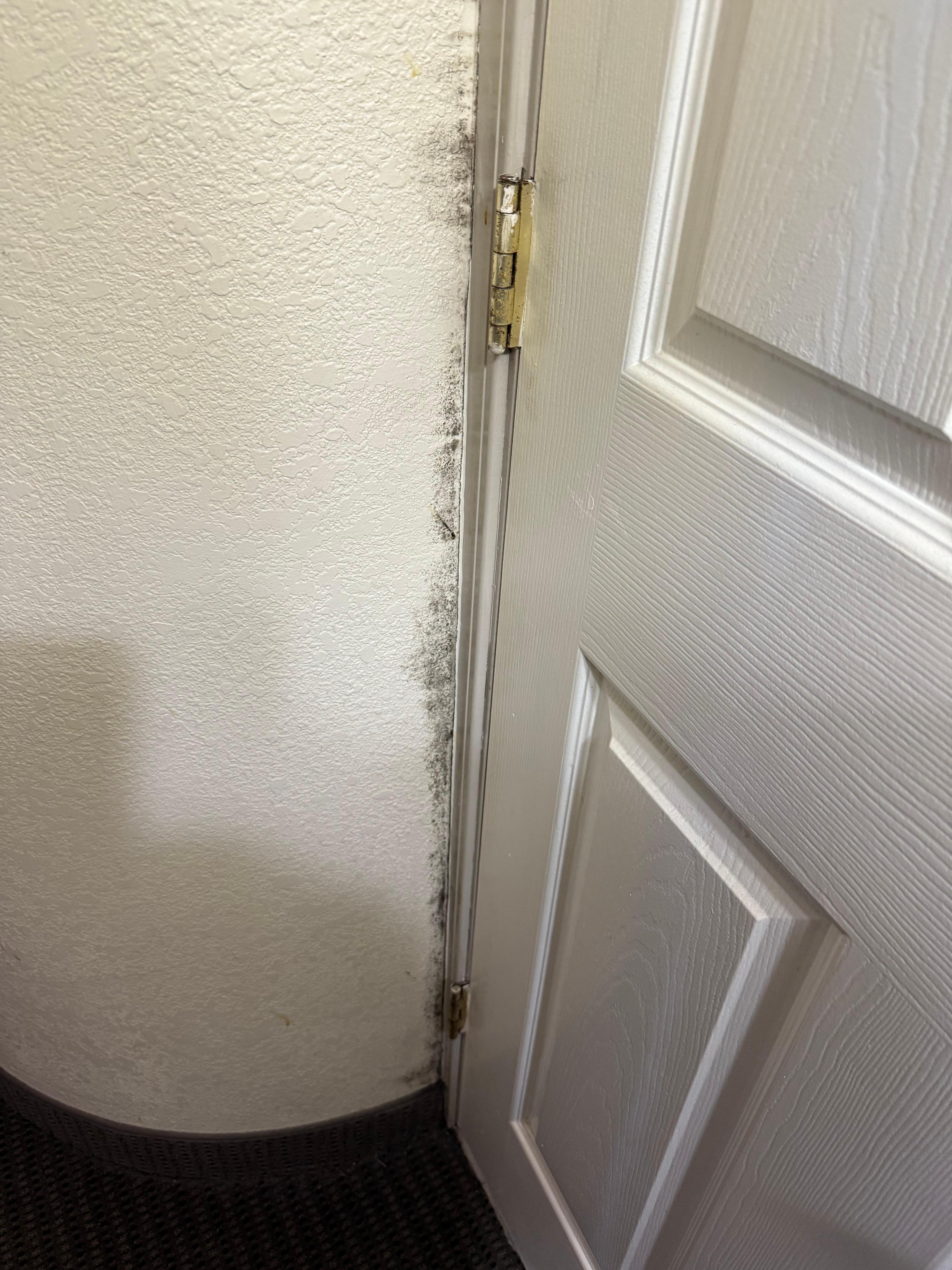 Mold in my room on first floor