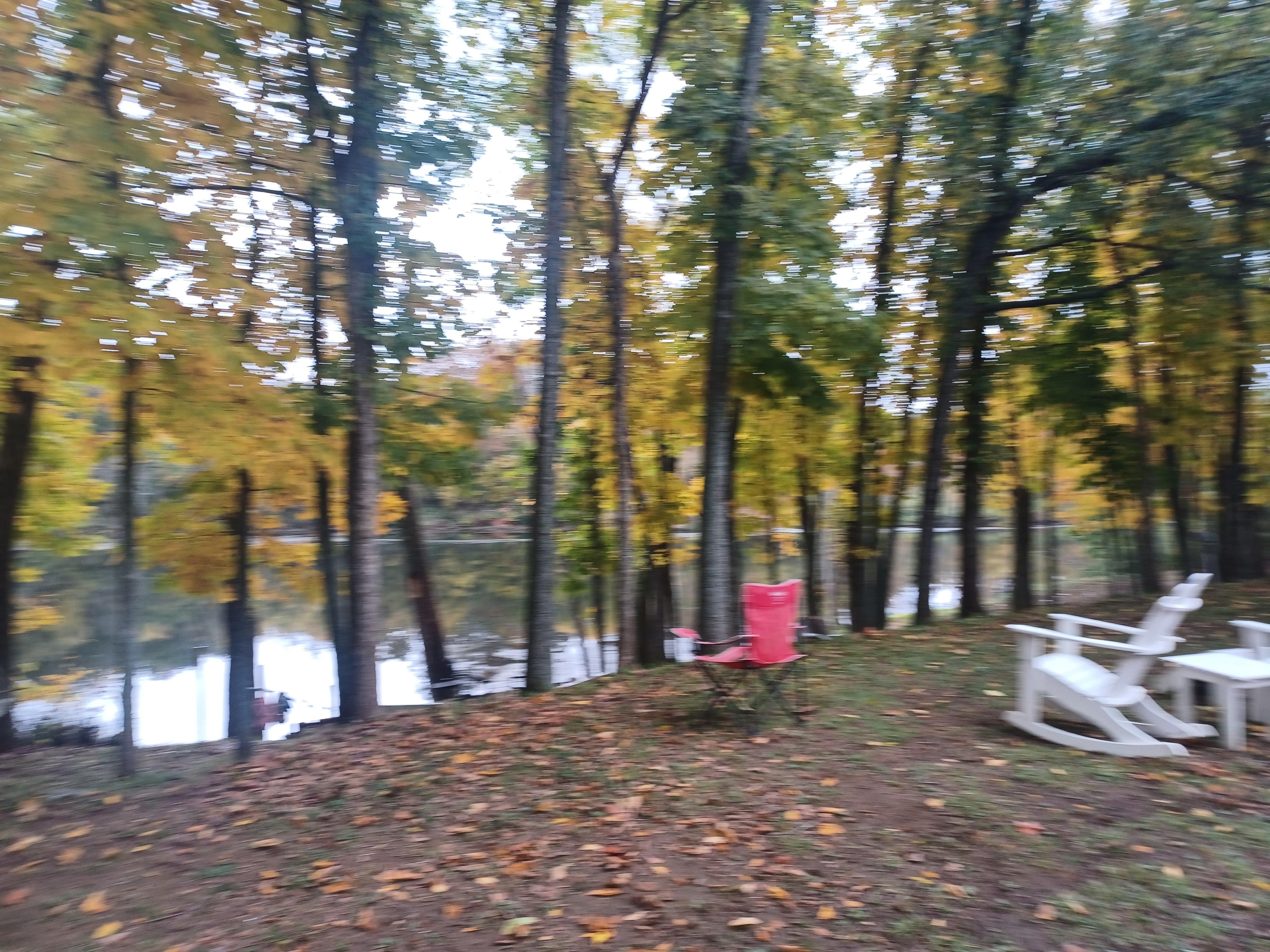 Right across from the cabin