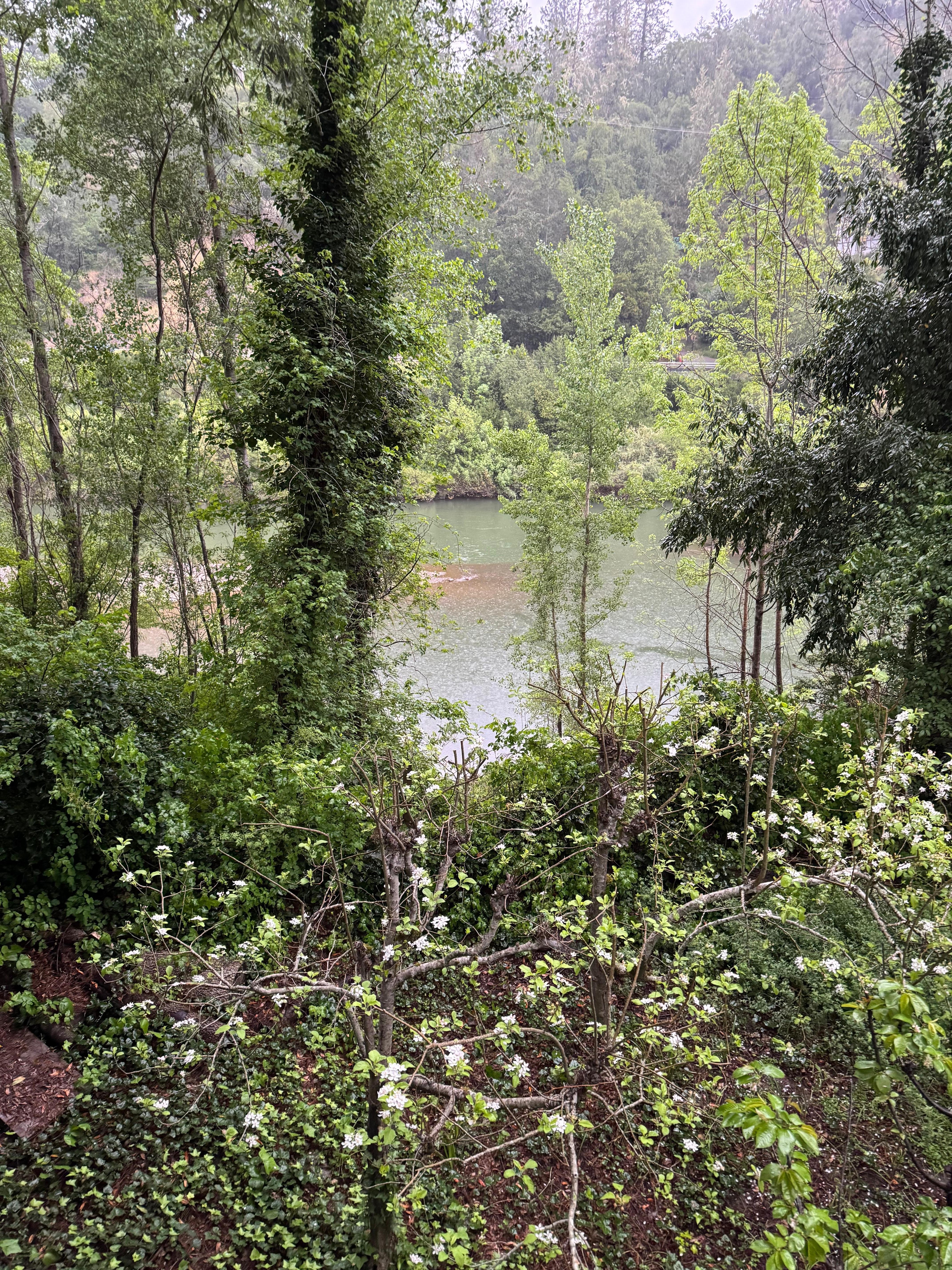 A magical view of the river.