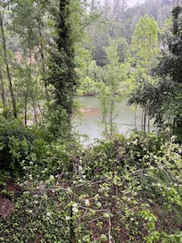 A magical view of the river.
