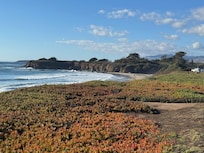 Looking north down the bluff above the ocean
