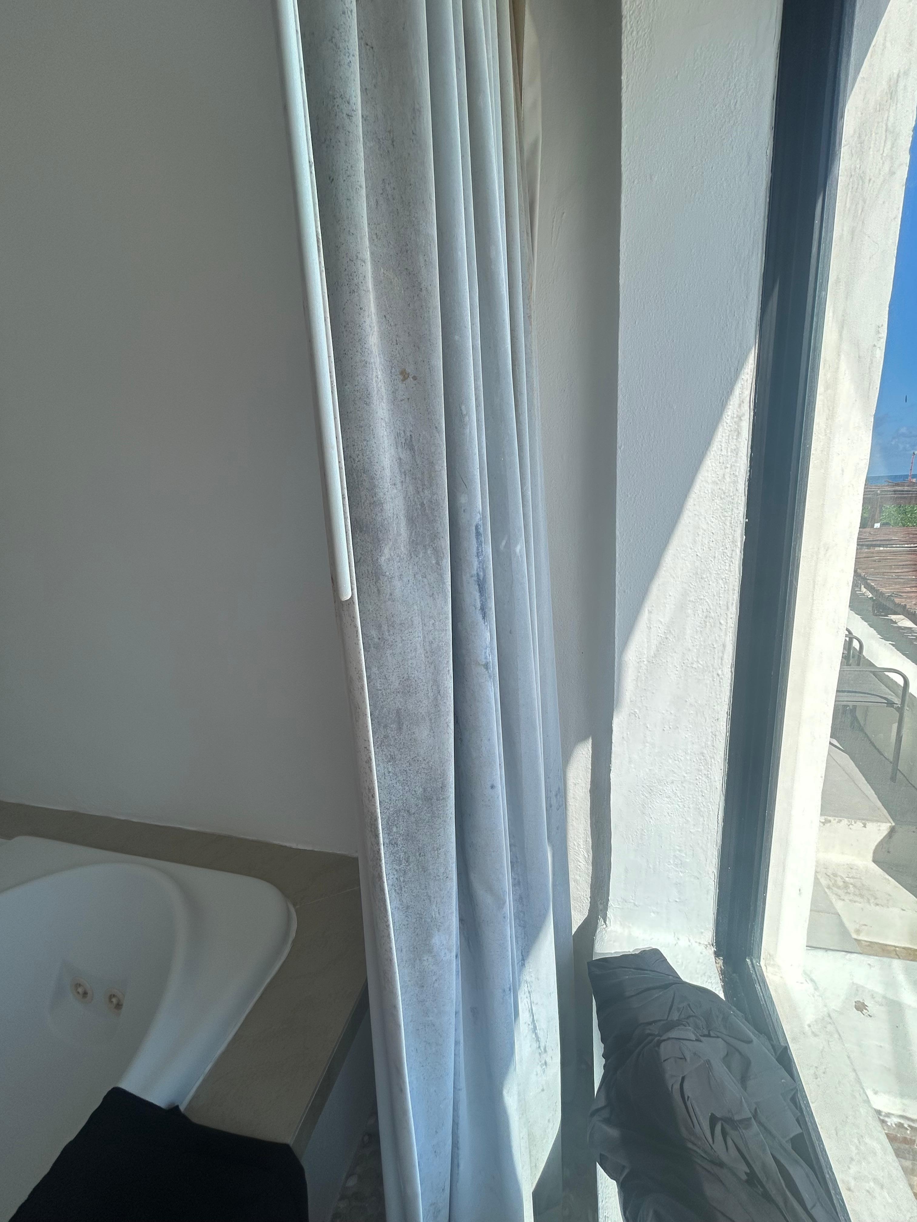 The crusty moldy curtain