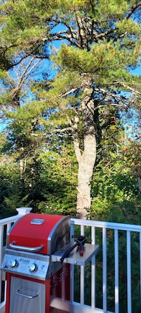 Grill was so convenient on 2nd floor deck