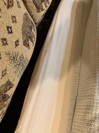 Mice living in the couch.