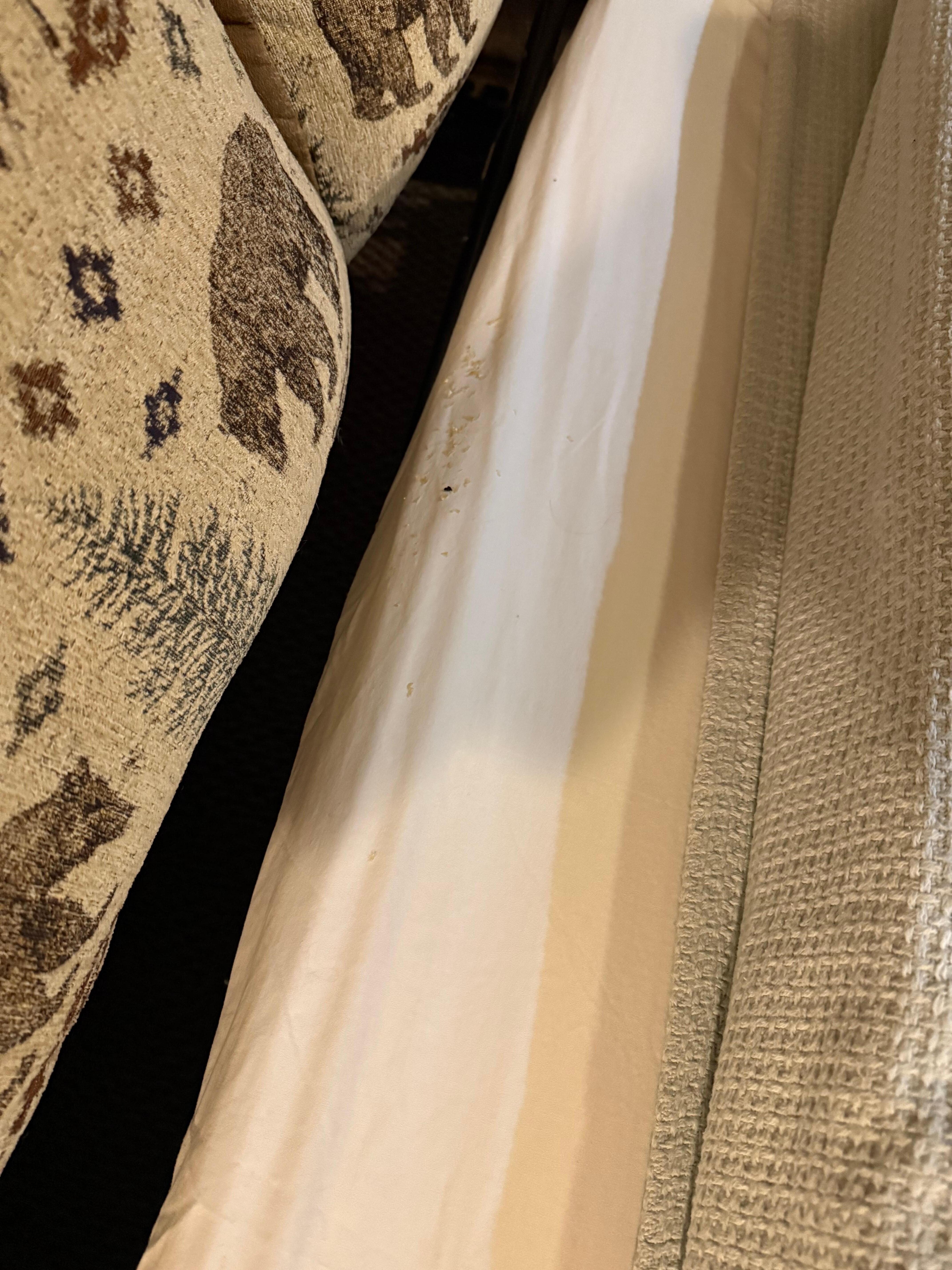 Mice living in the couch.