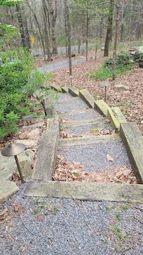 Stairs to driveway.