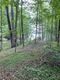 Lower pathway to lake