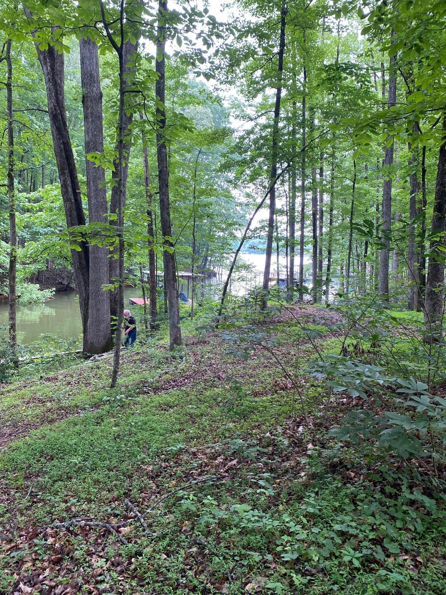 Lower pathway to lake