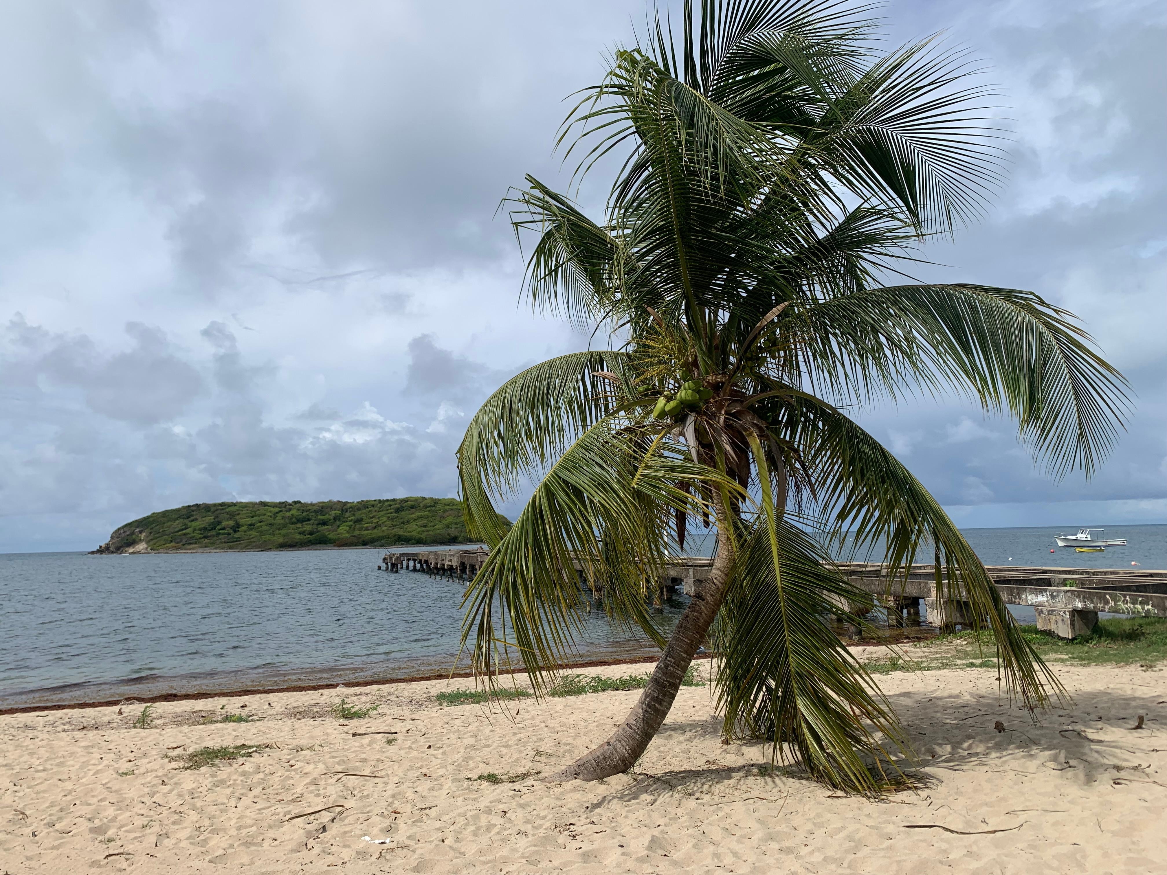 The beach, just a short walk from the hotel. 