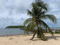 The beach, just a short walk from the hotel.