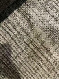 Urine stains all over the carpet