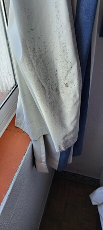 Black mold on curtain