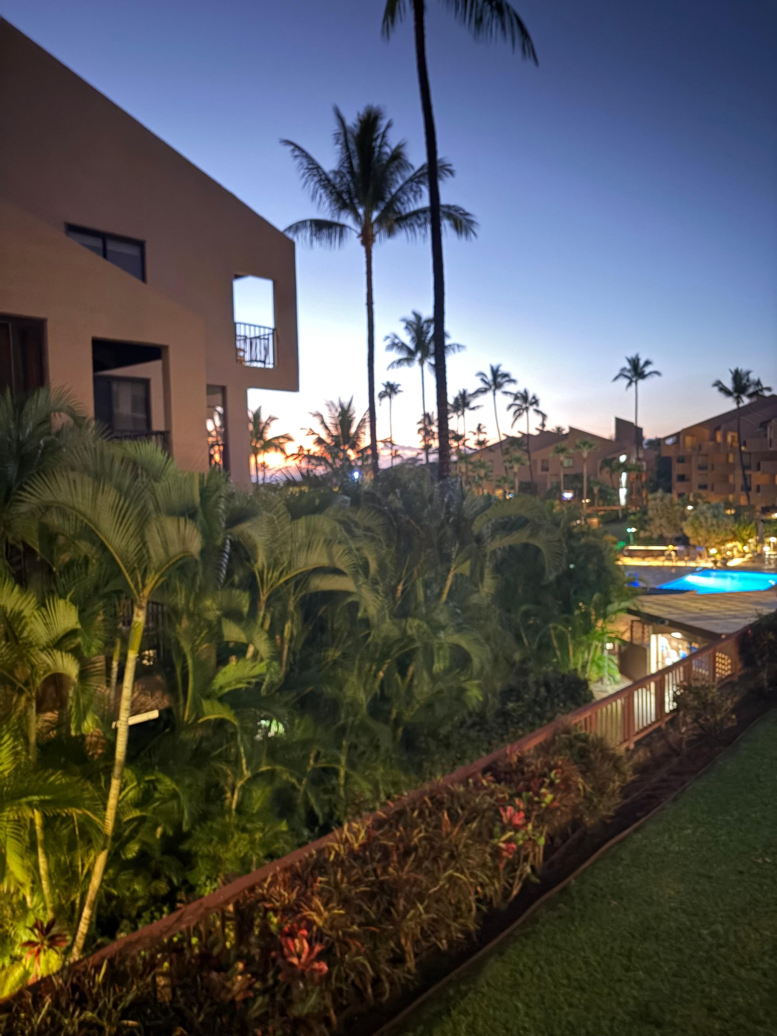 From the lanai during the day