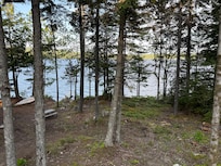 View of the lake from the house.