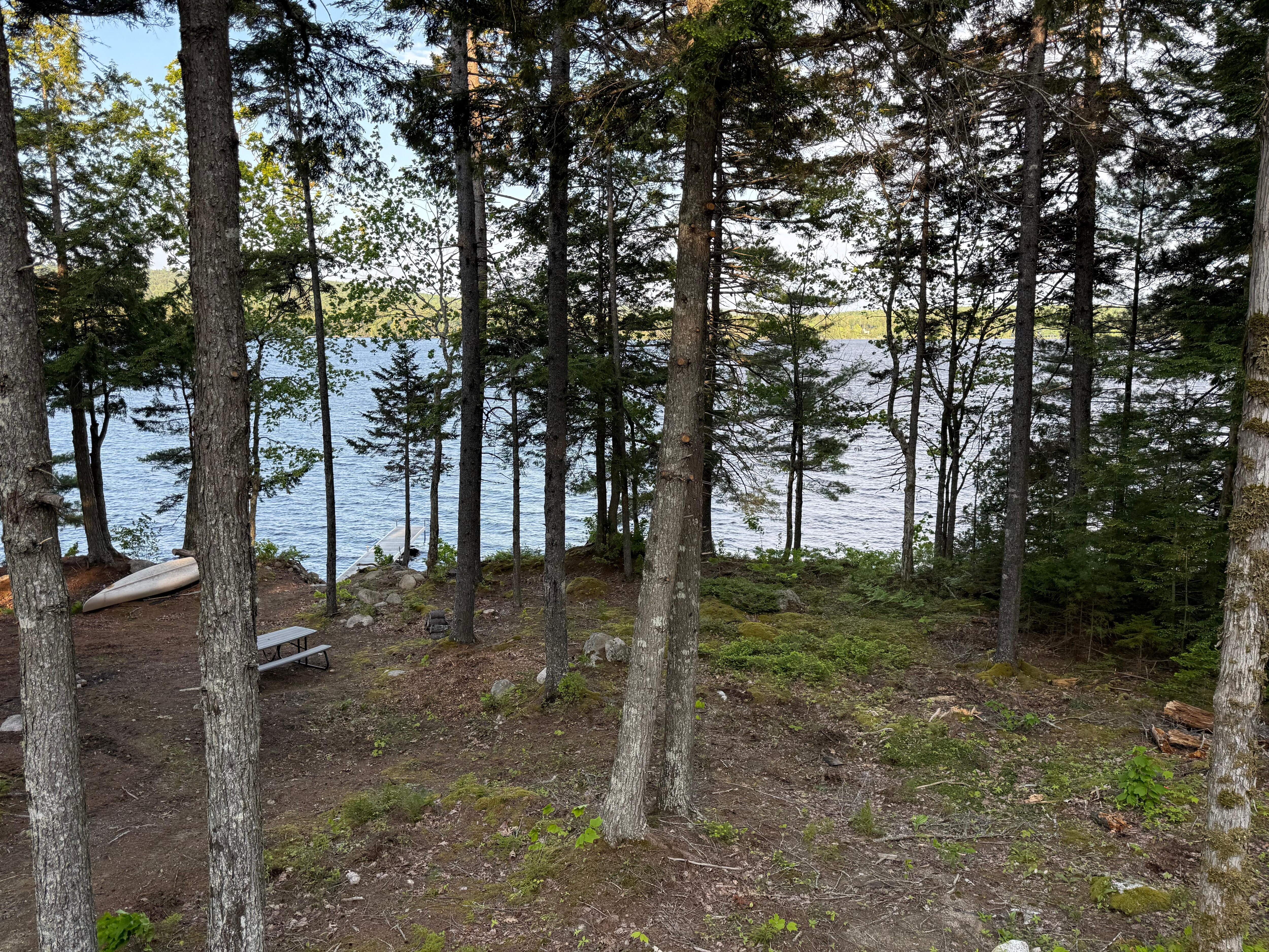 View of the lake from the house.