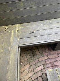 Dirty bench in garden area
