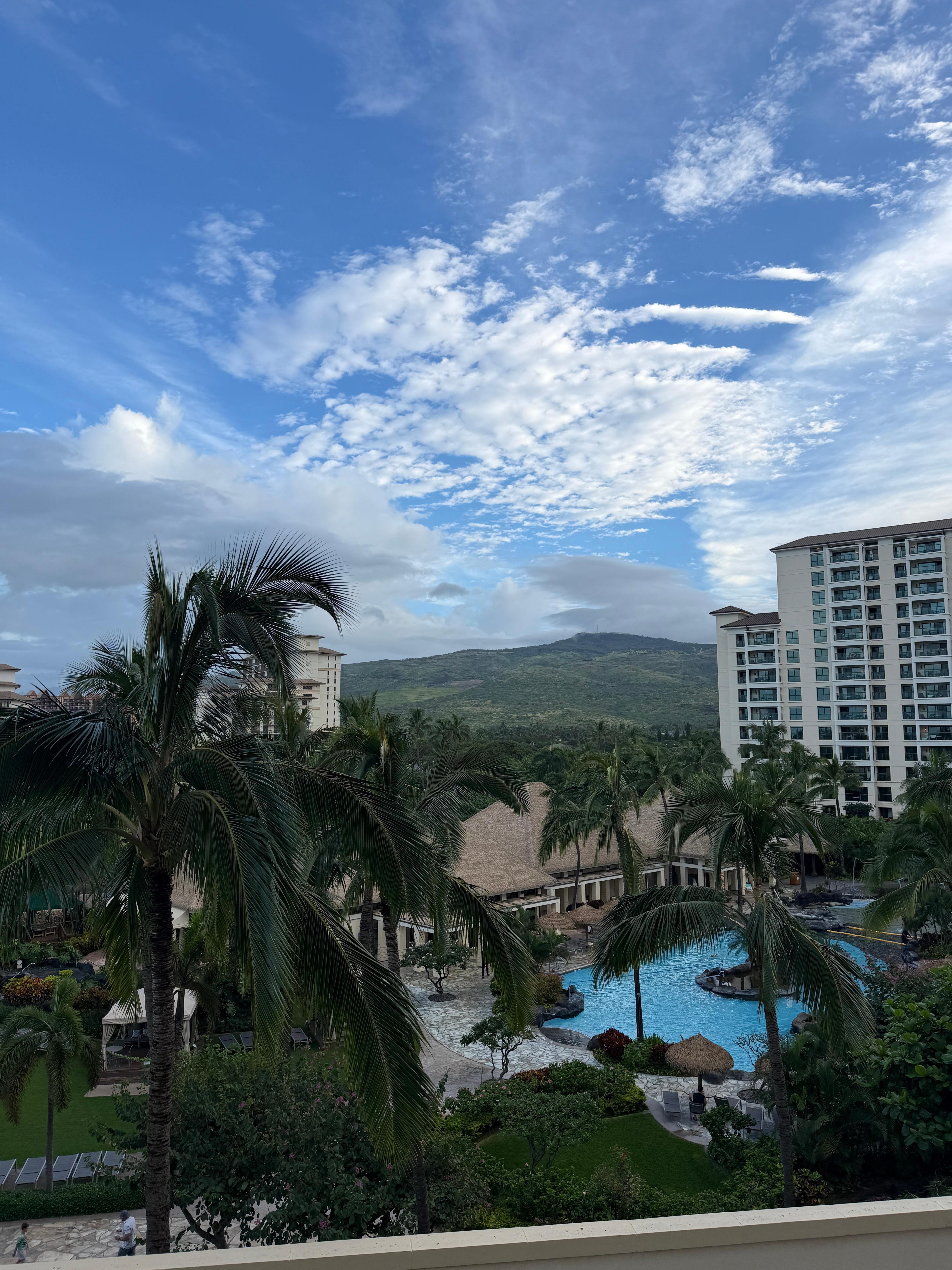 View from room