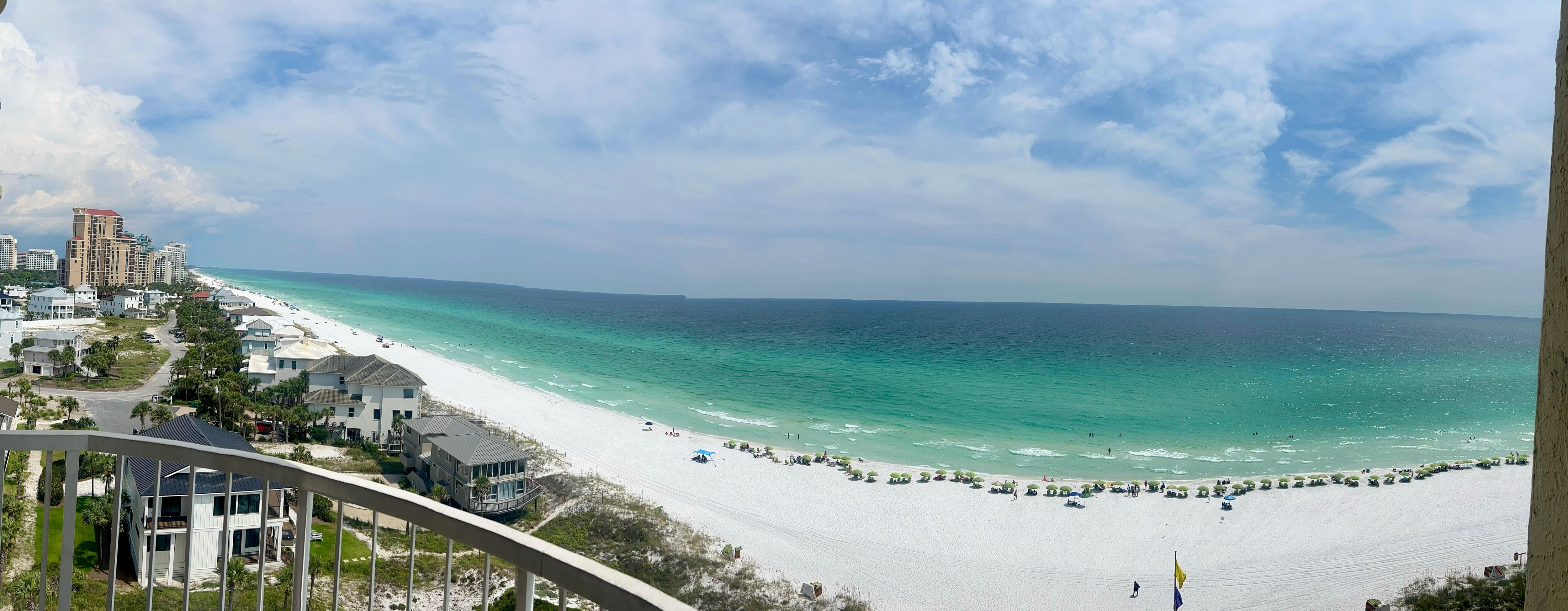 Watched the dolphins every morning. 