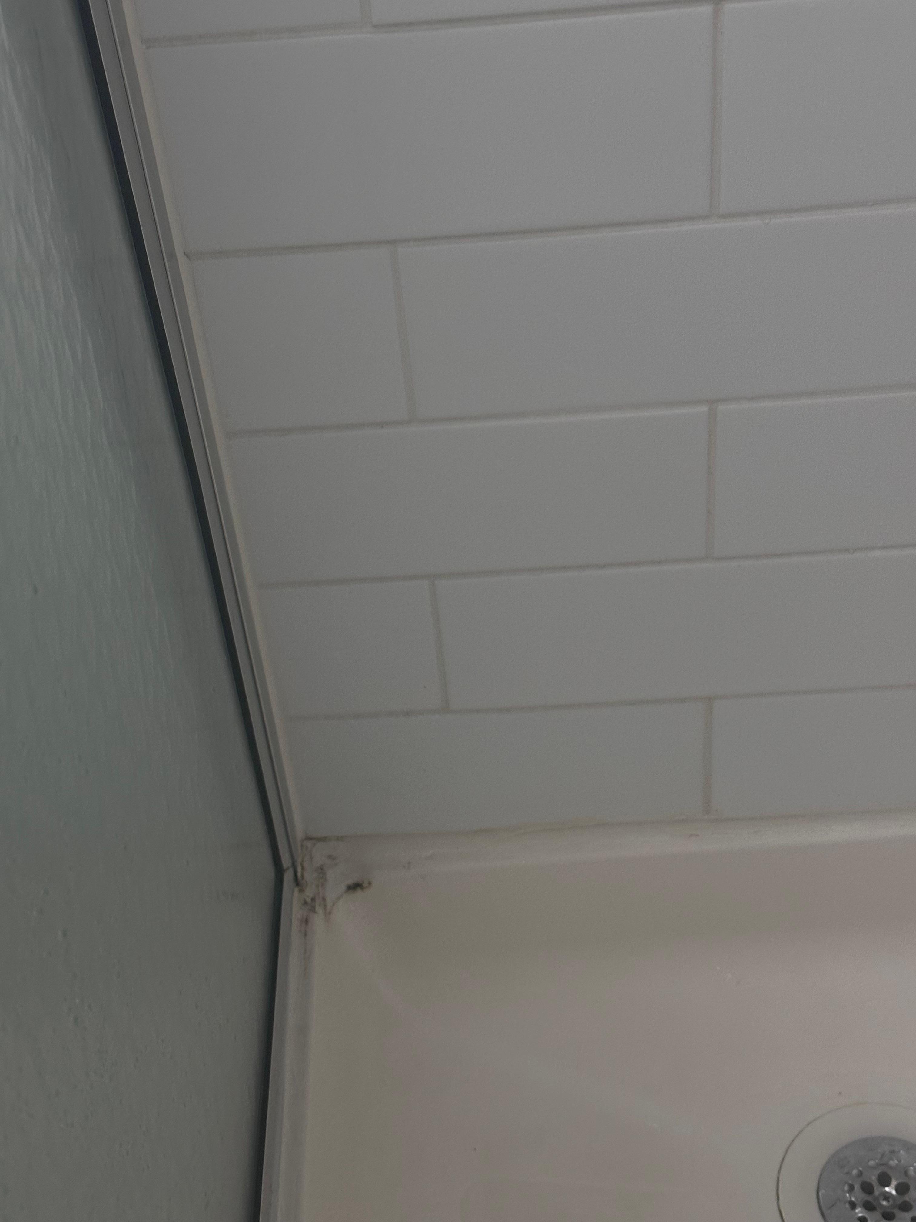 Mold