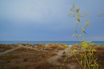 Weg zum Meer