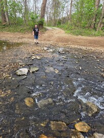 This is what we had to drive through to get to the cabin.