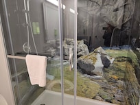 Shower with mural behind glass