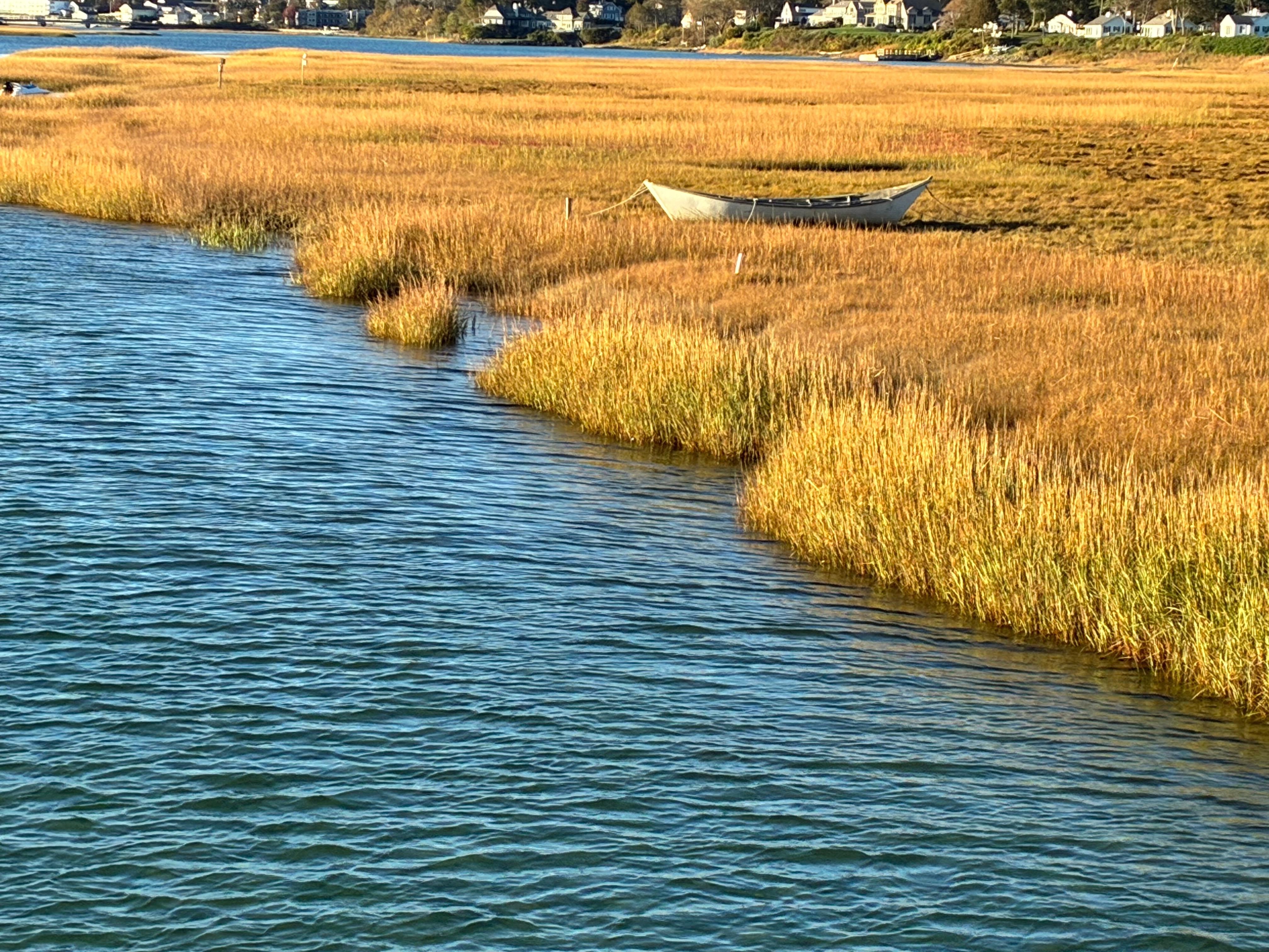 Dory on estuary marsh before Foot Bridge. Felt like Wyeth painting. 