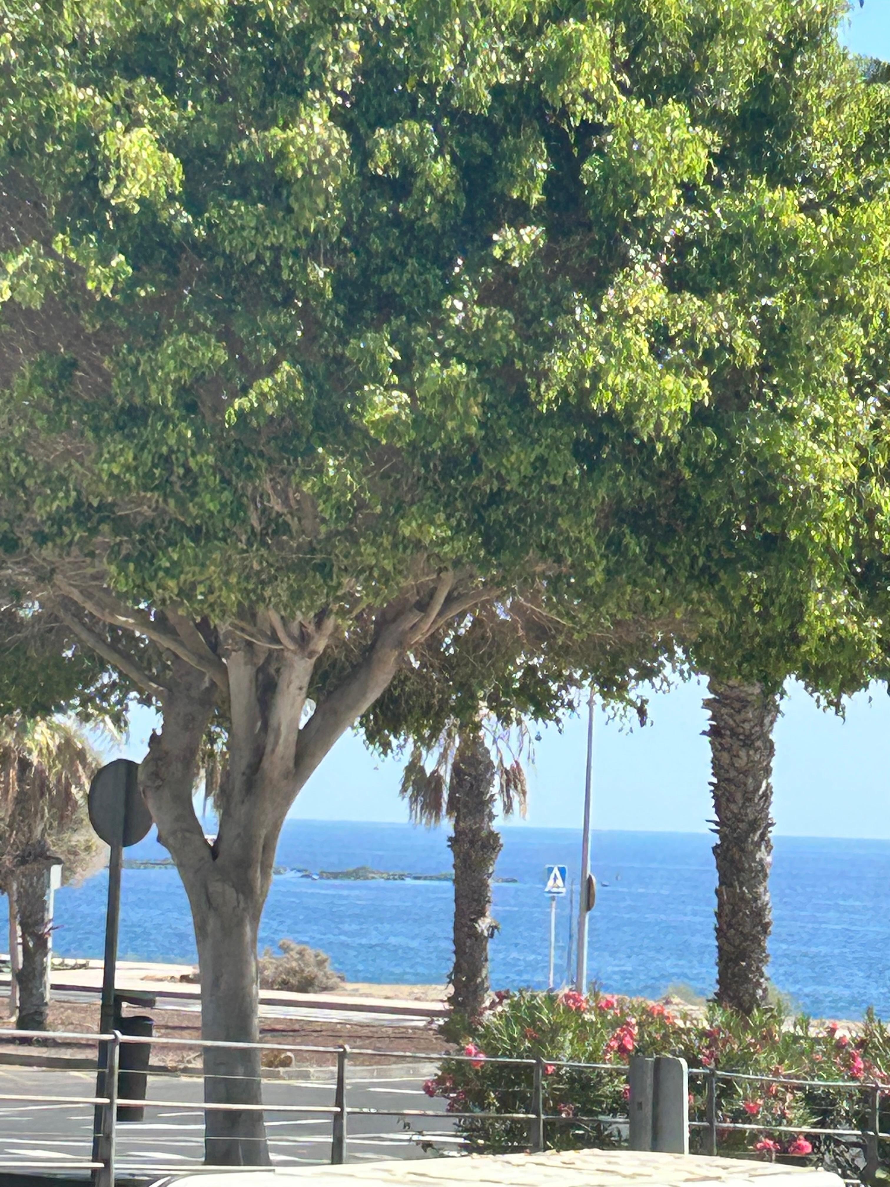 View from the balcony.
