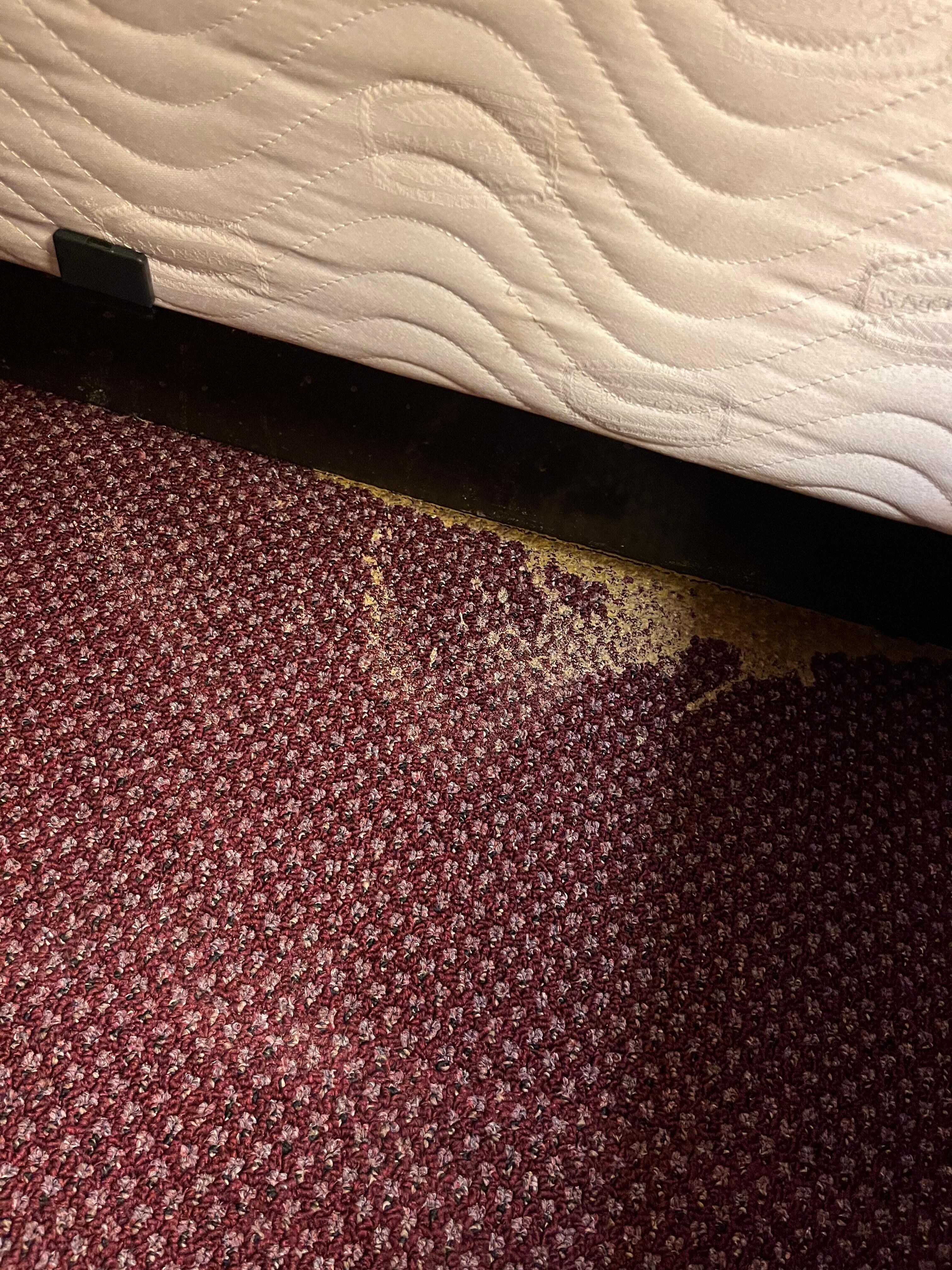 Edge of the bed. Don’t tell me that housekeeping did not see it.